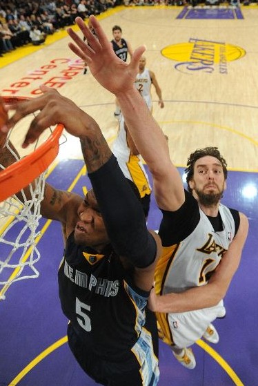 师的专业能 师的专业能