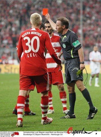 数据显示 数据显示